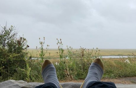 Elmley National Nature Reserve