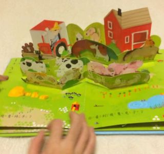The Pop Up Farm
