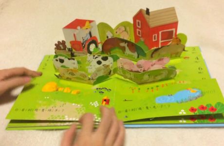 The Pop Up Farm