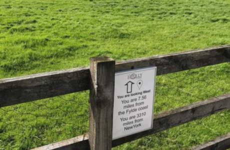 Old Holly Farm