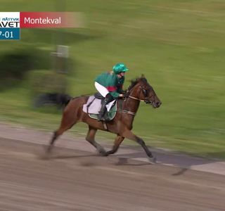 Romme Rattvik Dalatravet