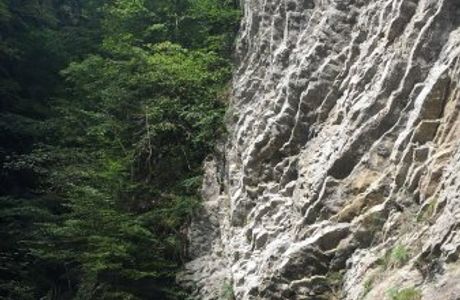 Les Gorges De La Jogne