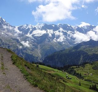 North face Trail