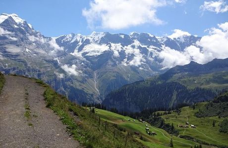 North face Trail