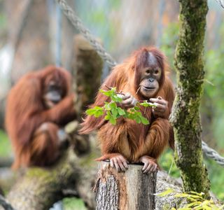 Zoo Basel