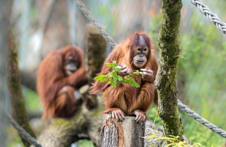 Zoo Basel