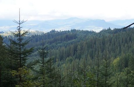 Yablonitskiy Pass