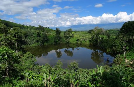 Lake Nkuruba