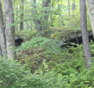Mahoning Shadow Trail
