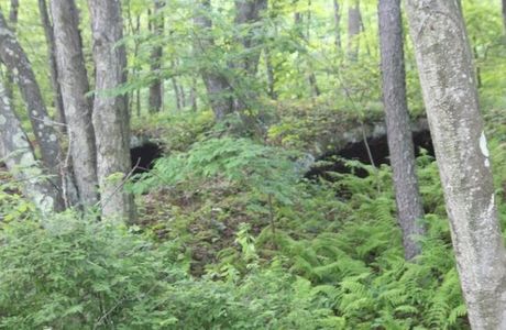Mahoning Shadow Trail