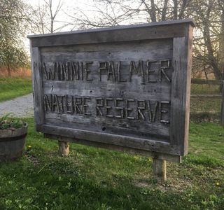 Winnie Palmer Nature Reserve