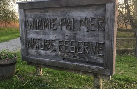 Winnie Palmer Nature Reserve