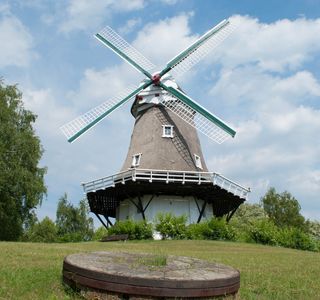 Old Windmill Farm Tours