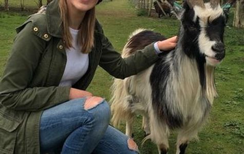 Bridlington Animal Park 1