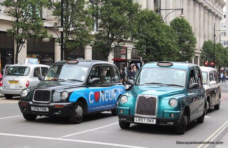 Terrys Taxis