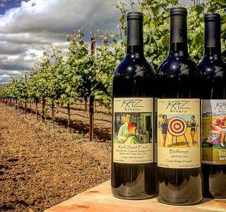 Kaz Winery