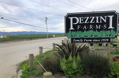 Pezzini Farms