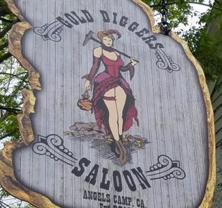 Gold Diggers Saloon