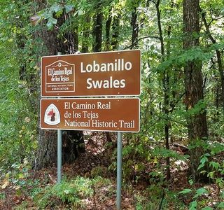 Lobanillo Swales