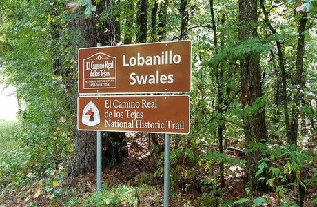 Lobanillo Swales