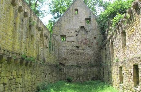 Klosterruine Disibodenberg (Hildegard von Bingen)