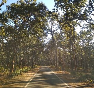 Netarhat (Queen of Chotanagpur)