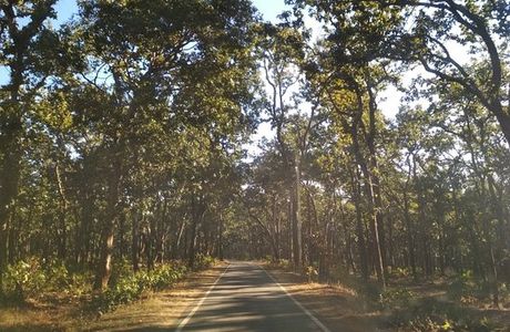Netarhat (Queen of Chotanagpur)