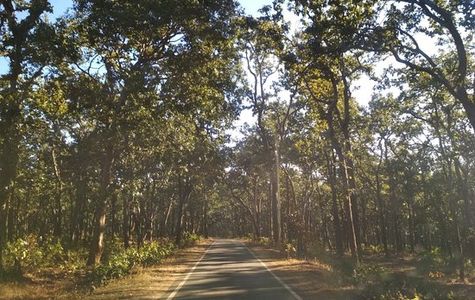 Netarhat (Queen of Chotanagpur) 1