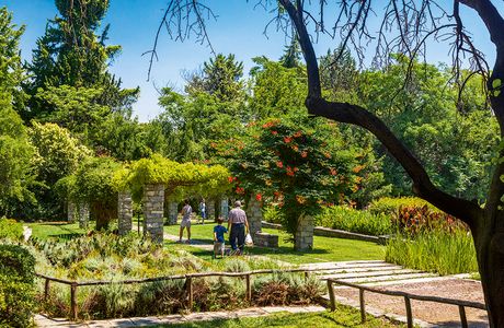 Botanical Garden Diomedes
