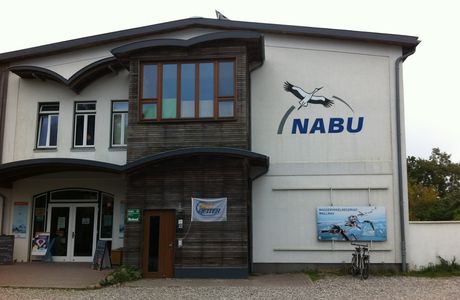 NABU-Wasservogelreservat Wallnau