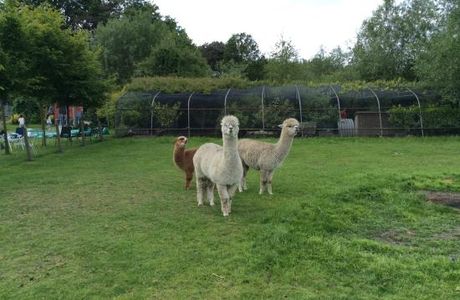 Kinderboerderij de Heihoeve