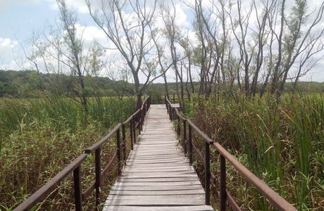 Parque Nacional Pre-Delta