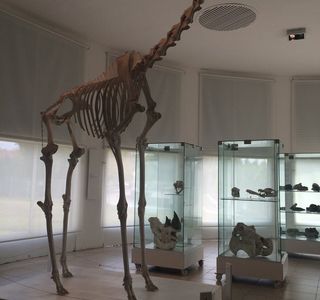 Museo Provincial de Ciencias Naturales y Antropologicas