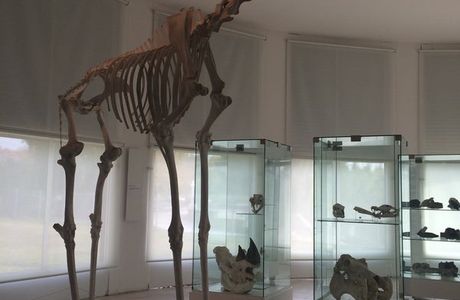 Museo Provincial de Ciencias Naturales y Antropologicas