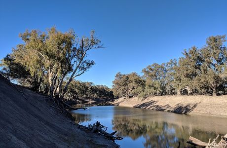 Toorale National Park