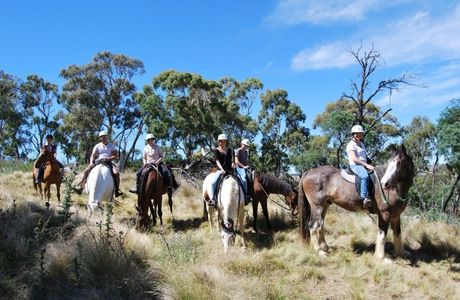 HIgh Country Trail Rides