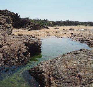 Deepwater National Park