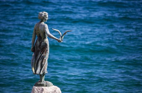 Maiden With The Seagull