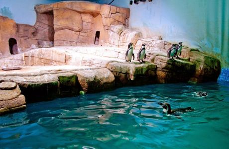 Ocean Aquarium