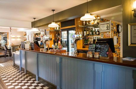 Bar White Lion