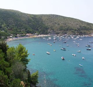 Aura Cilento