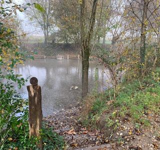 Fontanile Quarantina