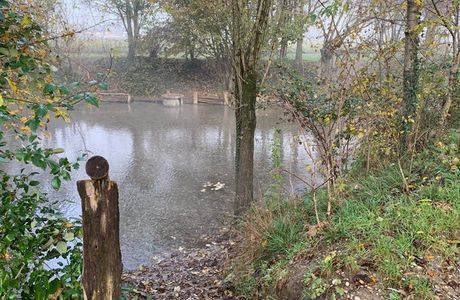 Fontanile Quarantina