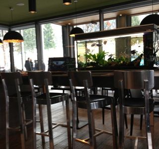 Bar Vicini