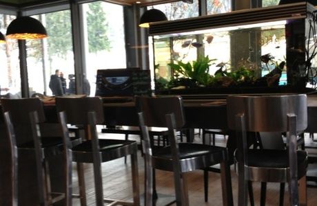 Bar Vicini