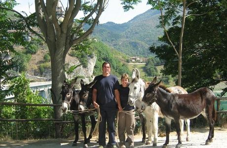 Raglio Ranch