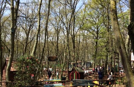 Parco Natura La Selvotta