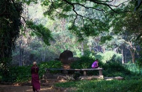 Osho Teerth Park