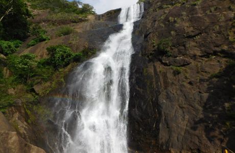 Palaruvi Falls