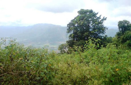 Chellarkovil Viewpoint